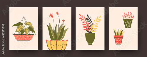 Set of contemporary posters with plants in pots. Potted flowers, hanging basket vector illustrations in pastel colors. Houseplants concept for kitchen or living room designs, social media, postcards