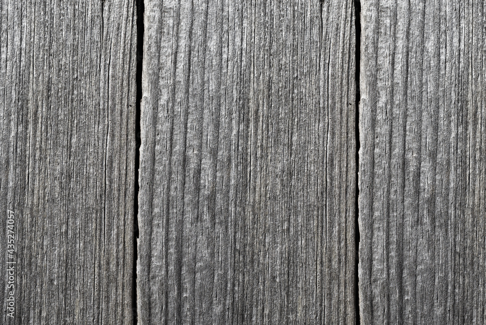 Fototapeta premium Texture of old gray unpainted boards on the fence