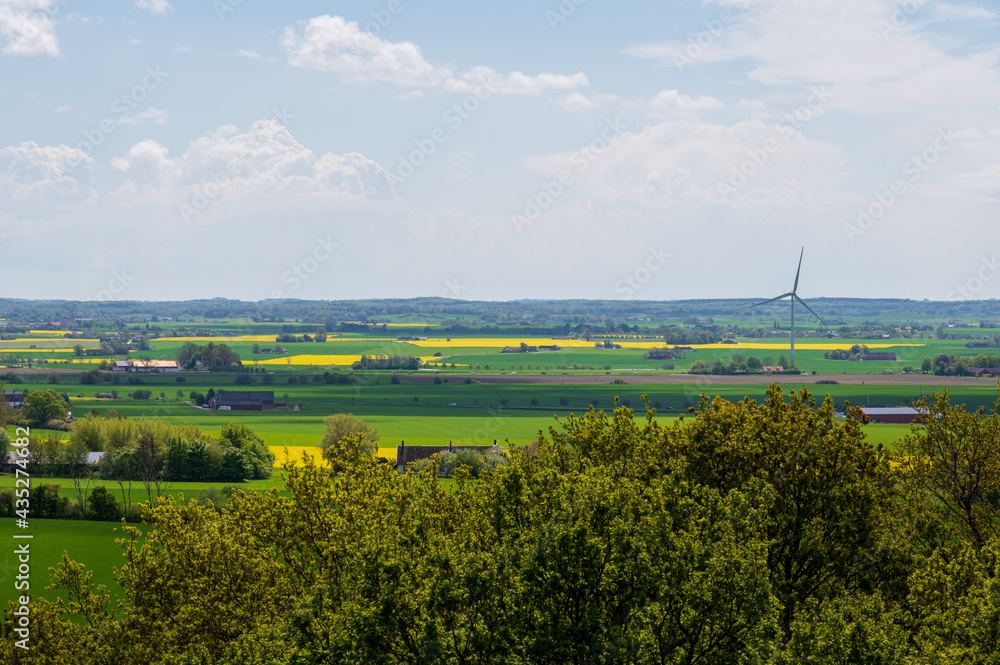 Farm fields of green and yellow canola in the flat farmland landscape of Skåne Sweden during spring and summer