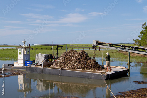 Oyster shells being put back into the water 