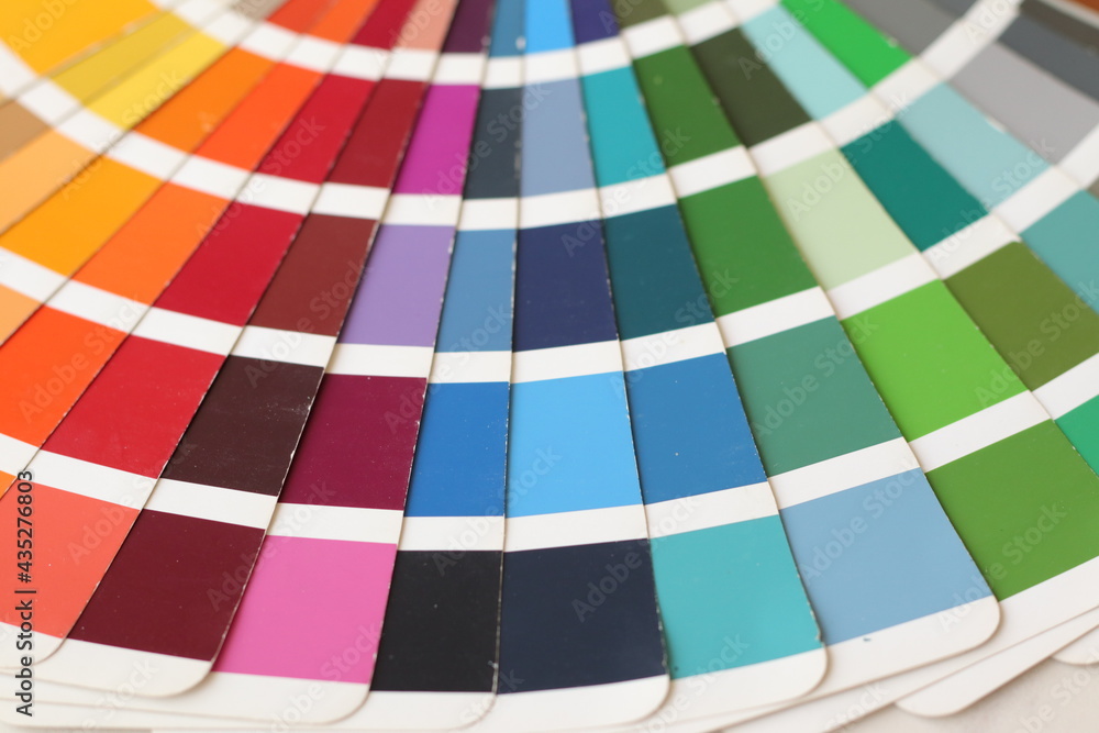 Obraz premium Color diy swatches, close up