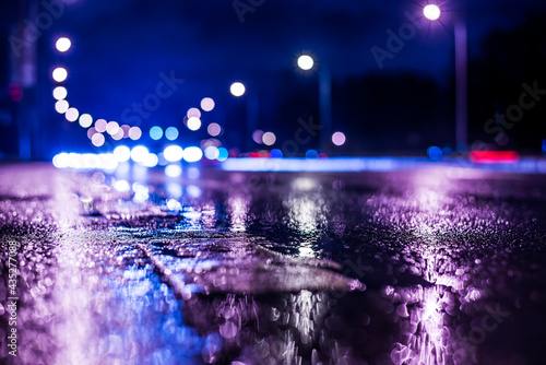 Rainy night in the big city, highway passing through a forest in the city park. View from the level of asphalt