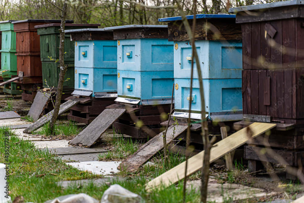 Blue beehives standing - early spring. Still too cold for the bees to fly. Blue beehives standing - early spring. Still too cold for the bees to fly.