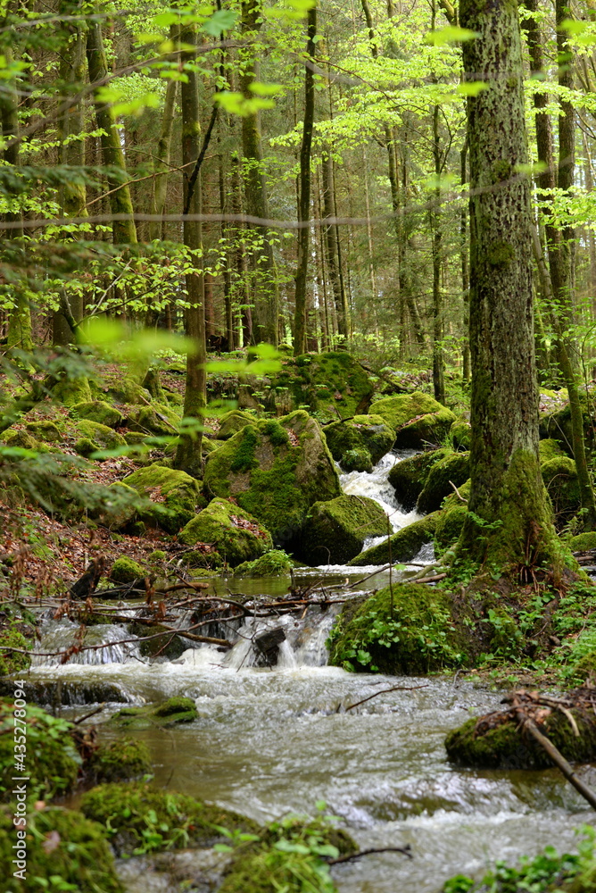 Kleiner Wasserfall im frühlingshaften Laubwald Kleiner Wasserfall im frühlingshaften Laubwald