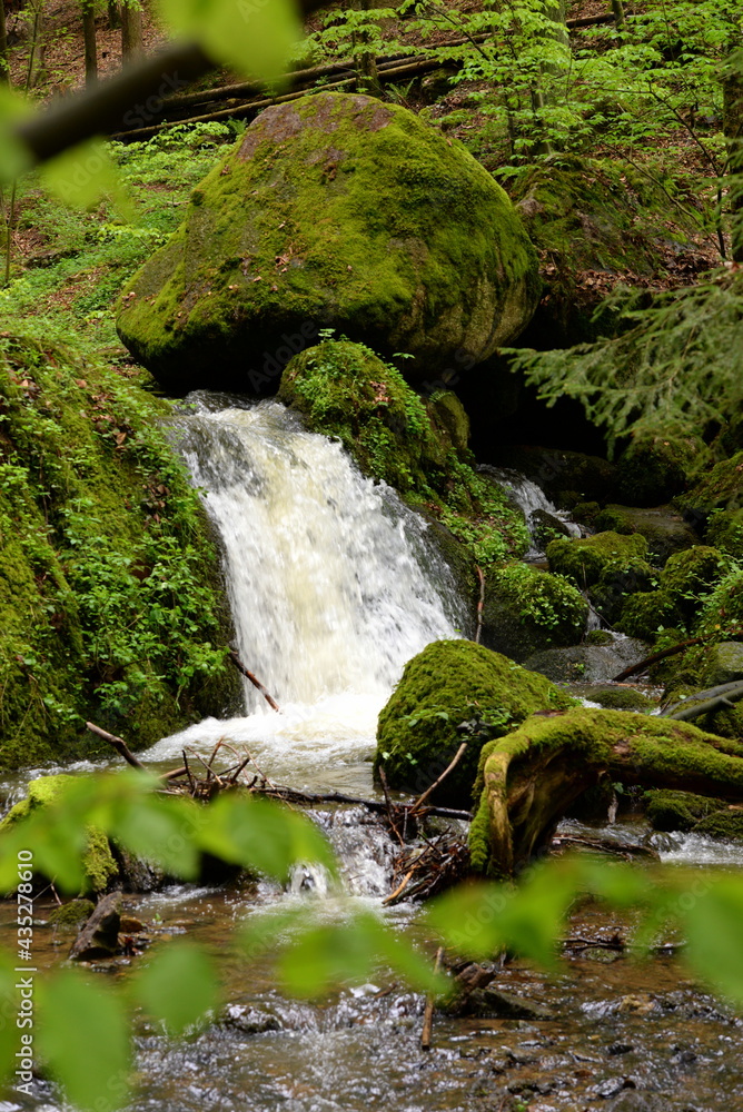 Fototapeta premium Kleiner Wasserfall im frühlingshaften Laubwald