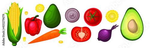 Set of vector vegetables in cartoon style. Healthy food  corn  tomato  pepper  avocado  onion  carrot
