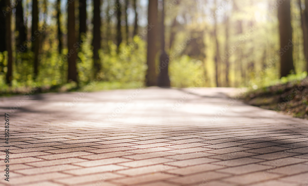 Walking paths paved with tiles in the city park. Walking paths paved with tiles in the city park.