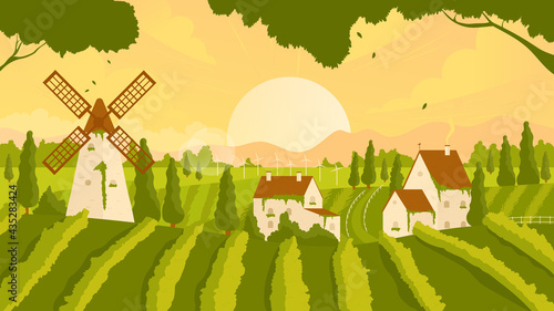 Vineyard rural summer or autumn sunset scene vector illustration. Cartoon panorama with growing vine grapes on green agriculture hills, vintage farm houses and windmill, travel to Europe background