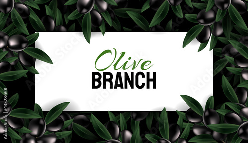 Ripe black and green olives and leaves. Spring or summer nature. Plant branch on a dark background. Luxury banner background and place for text. Promotional template. Abstract Design Element.