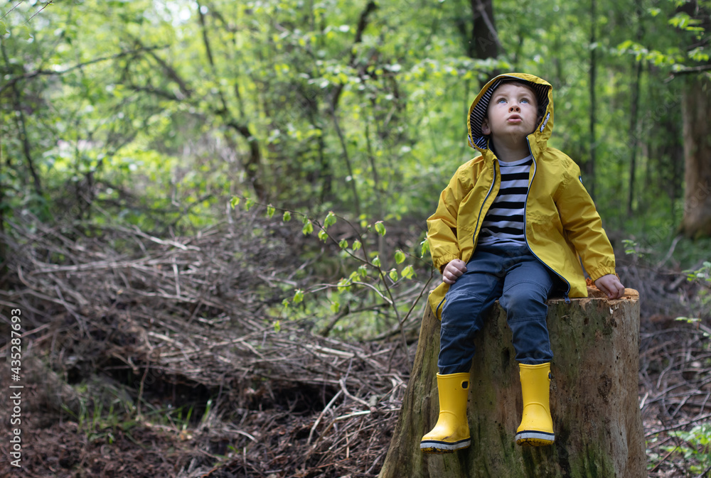 Little boy in a yellow jacket sits in the forest on a stump Little boy in a yellow jacket sits in the forest on a stump