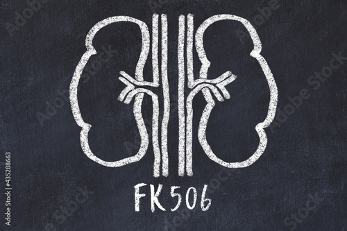 Chalk drawing of human kidneys and medical term FK506. Concept of learning medicine photo