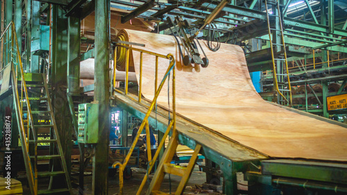 veneer being processed at plywood manufacture industry