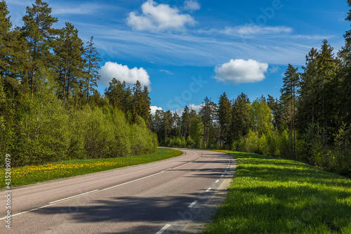 Beautiful nature landscape view. Asphalt road between green trees on cloudy sky background. Sweden. © Alex