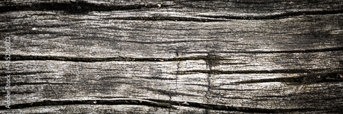Texture of weathered wood