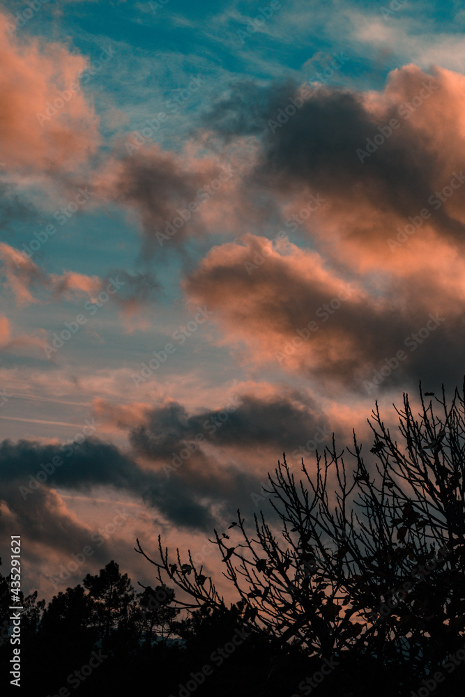 Fototapeta premium sunset in the sky