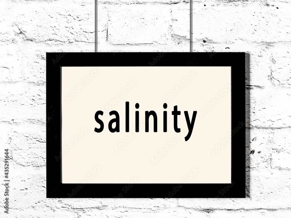 Wall Mural Black frame hanging on white brick wall with inscription salinity