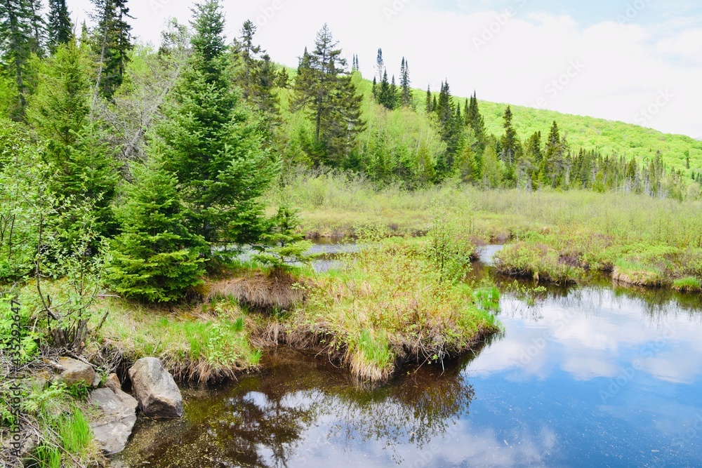 Lake Archambault in Mont-Tremblant provincial park Lake Archambault in Mont-Tremblant provincial park
