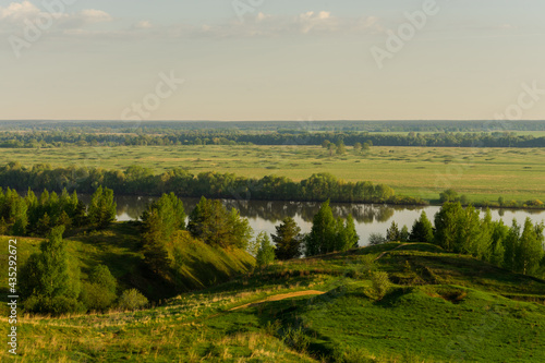 Fototapeta Naklejka Na Ścianę i Meble -  landscape with forest