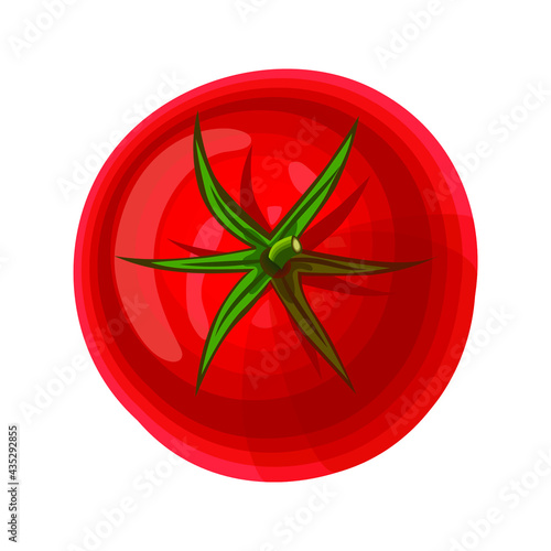 Red tomato in cartoon style. Vector illustration isolated on white background.