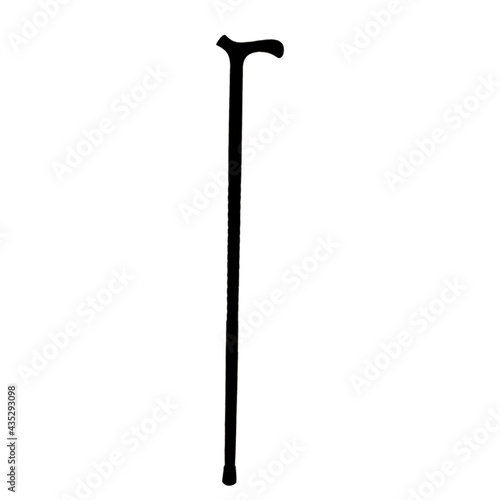 Slika na platnu Walking stick