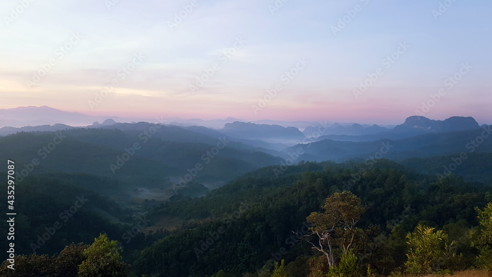 Naklejka premium Forest and mountains and fog