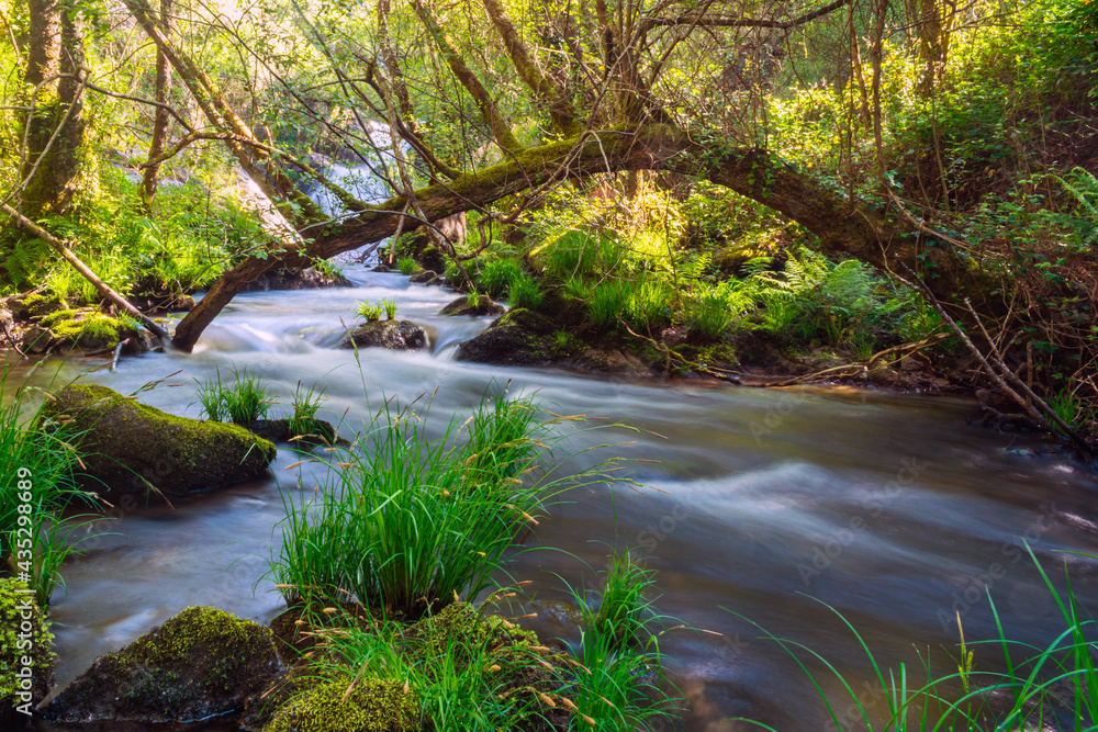 Small and beautiful mountain river in Galicia. The water of a stream falls gently on the rocks with moss forming small and beautiful waterfalls Small and beautiful mountain river in Galicia. The water of a stream falls gently on the rocks with moss forming small and beautiful waterfalls
