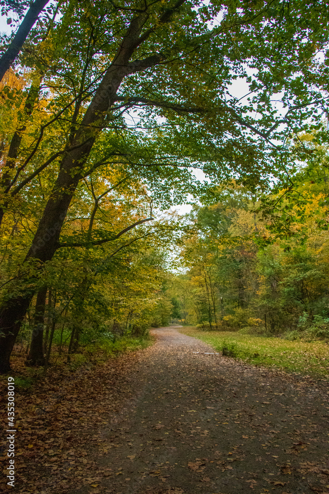 Vibrant Fall Landscape