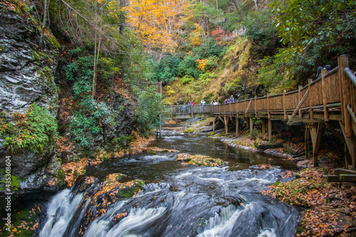 Bushkill Falls in the fall