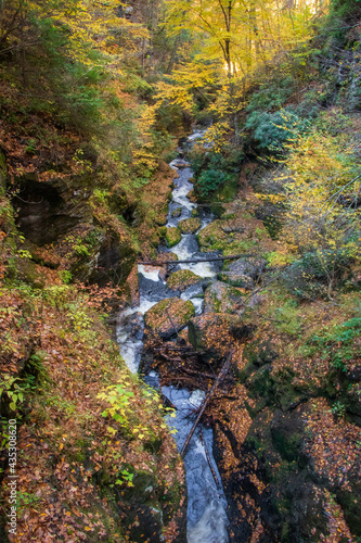 Bushkill Falls in the fall photo