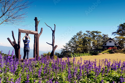 Huai Nam Dang National Park ,flower and mountain photo