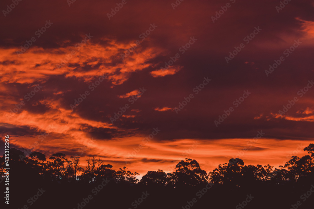Fototapeta premium beautiful intense sunset sky with pink and golden tones over the mountains and eucalyptus gum trees
