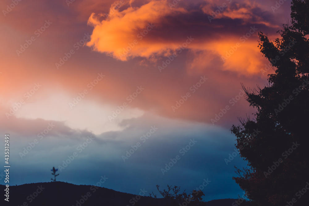Fototapeta premium beautiful intense sunset sky with pink and golden tones over the mountains and trees