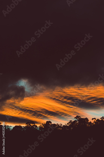 beautiful intense sunset sky with pink and golden tones over the mountains and eucalyptus gum trees