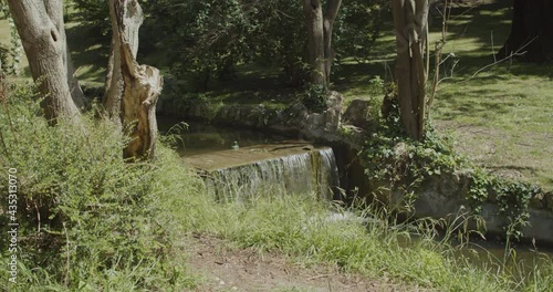 Waterfall in a park on a sunny day