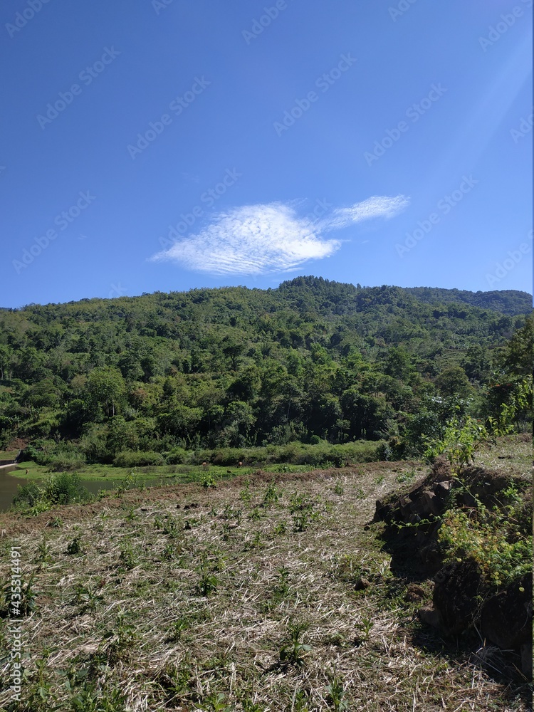 Naklejka premium landscape with blue sky and clouds