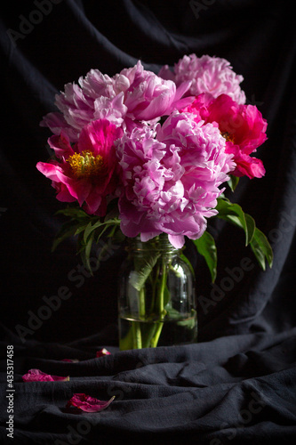 Still Life with Glass Vase with Dark Pink and Light Pink Peonies with Dark Grey Fabric Background