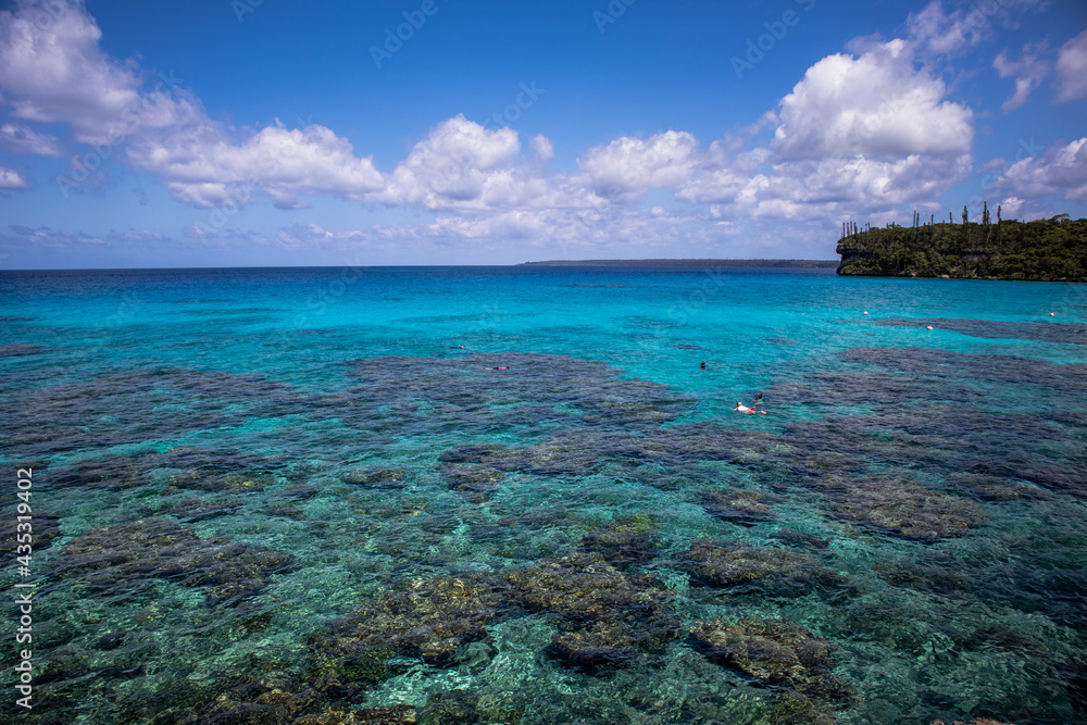 tropical island reef 