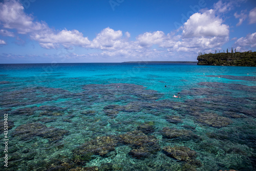 tropical island reef 