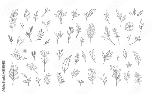 Floral and herbal ornament hand drawn designs. Leaves and branches nature doodles.