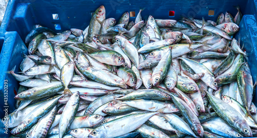 Sea fish after the catch sold in the seafood market is a nutritious high protein foods to benefit human health © huythoai