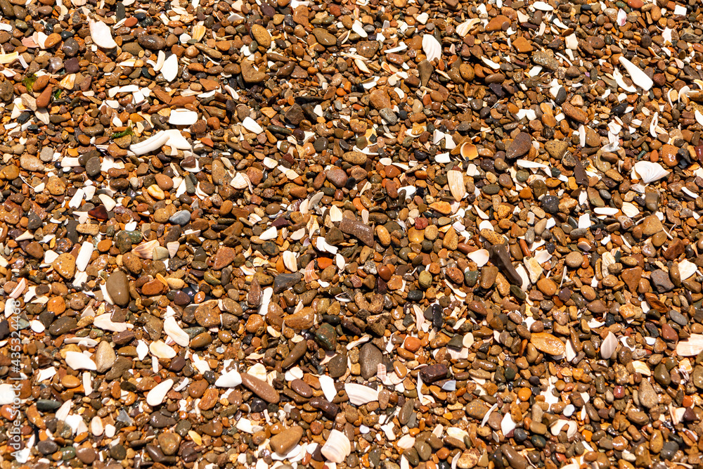 Background of brown sea pebbles with parts of white seashells Background of brown sea pebbles with parts of white seashells