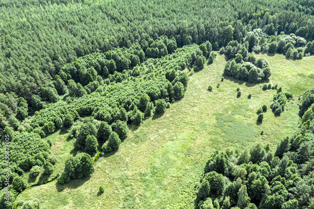 aerial drone view of winding river in green forest at summer sunny day