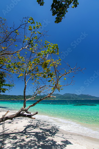 Beautiful Thailand travel island "Koh Lipe" white sand beach with fresh tree and turquoise sea water with peace clear blue sky landscape background