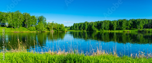 summer river or lake surrounded by young birch forest, clear bright blue sky, summertime sunny day panoramic landscape