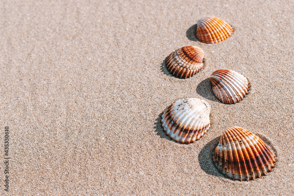 Summer background beach with seashells, starfishes on sand ocean background. Copy space. Road frame set. Summer background beach with seashells, starfishes on sand ocean background. Copy space. Road frame set.