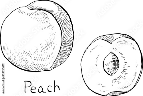 This is a black and white illustration of two peaches drawn with a hand-drawn pen.