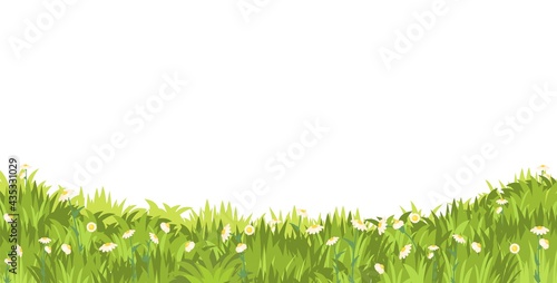 Meadow with wildflowers. Grass close-up. Beautiful green rural landscape. Isolated. Cartoon style. Flat design. Countryside view. Flowers. Art illustration vector