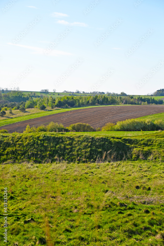 Rural landscape of fields and meadows 