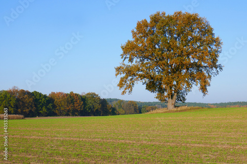 Herbst in Norddeutschland