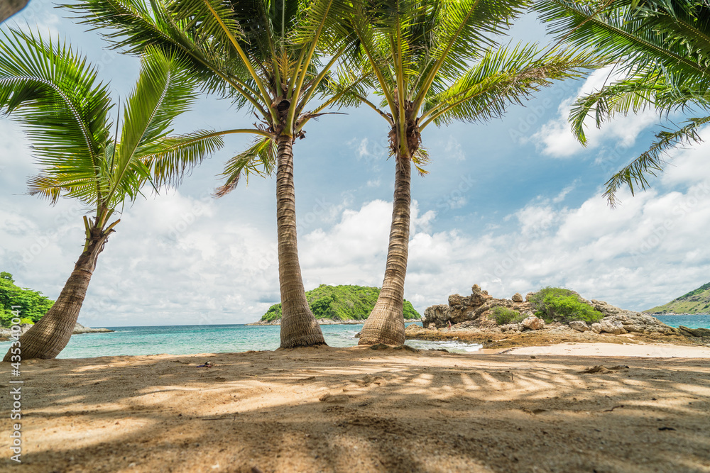 Coconut palms against the tropical beach, view from below. Tropical paradise idyllic background. Coco palms with beautiful leaves.
